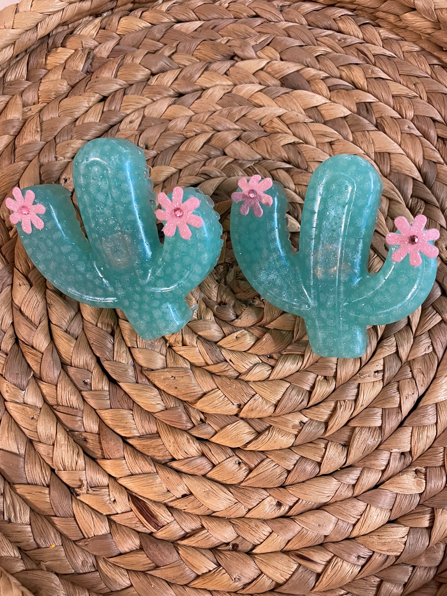 Cactus Vent Clips