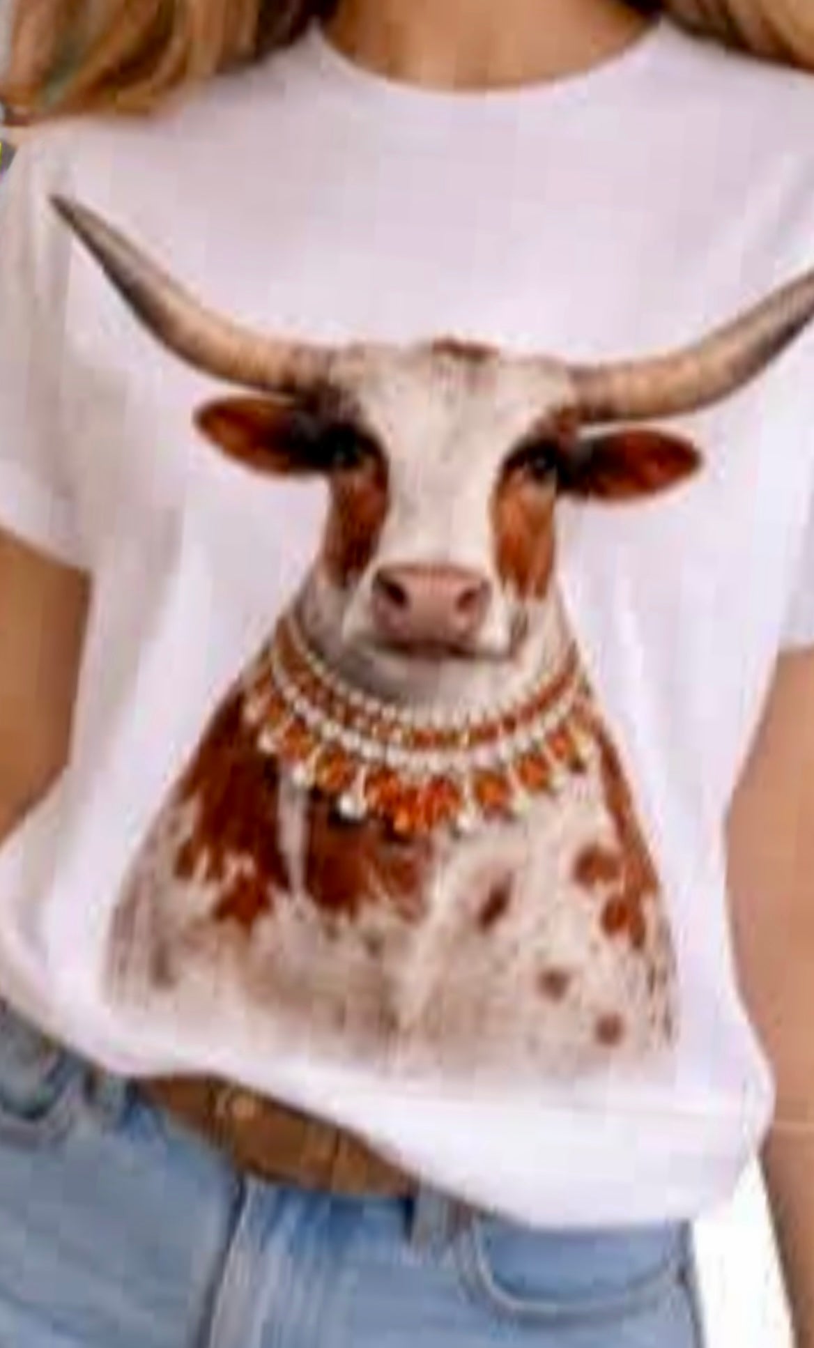 Longhorn Mascot Preorder