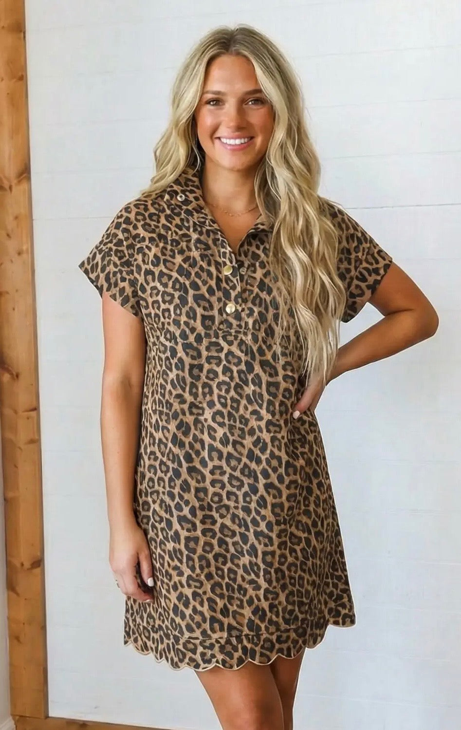 Leopard Dress