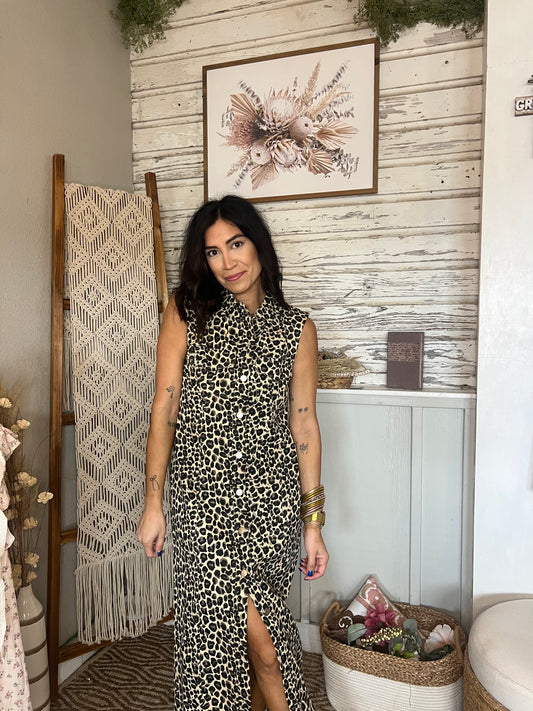 Kaiya Leopard Print Button Up Dress