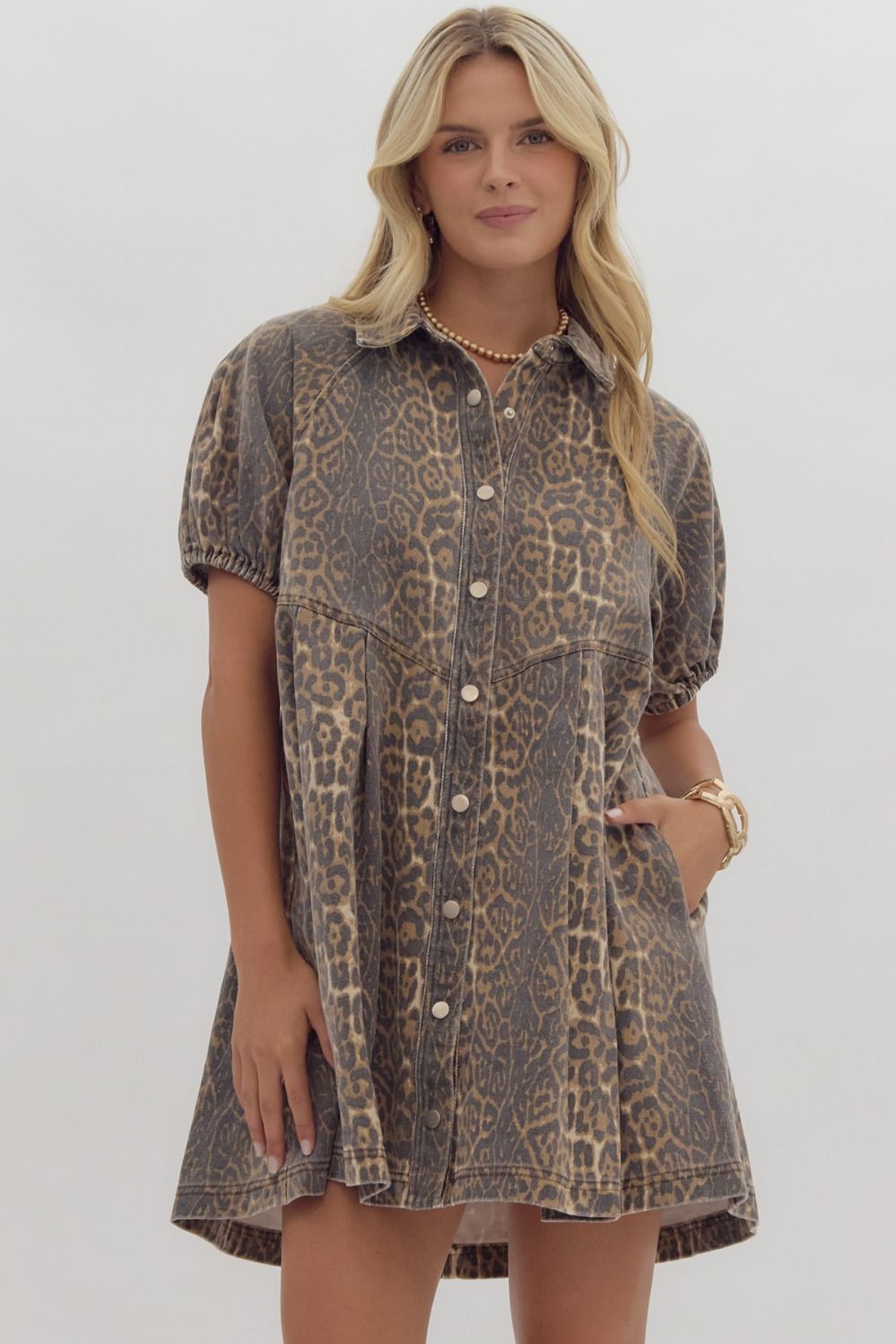 Chesney Cheetah Dress