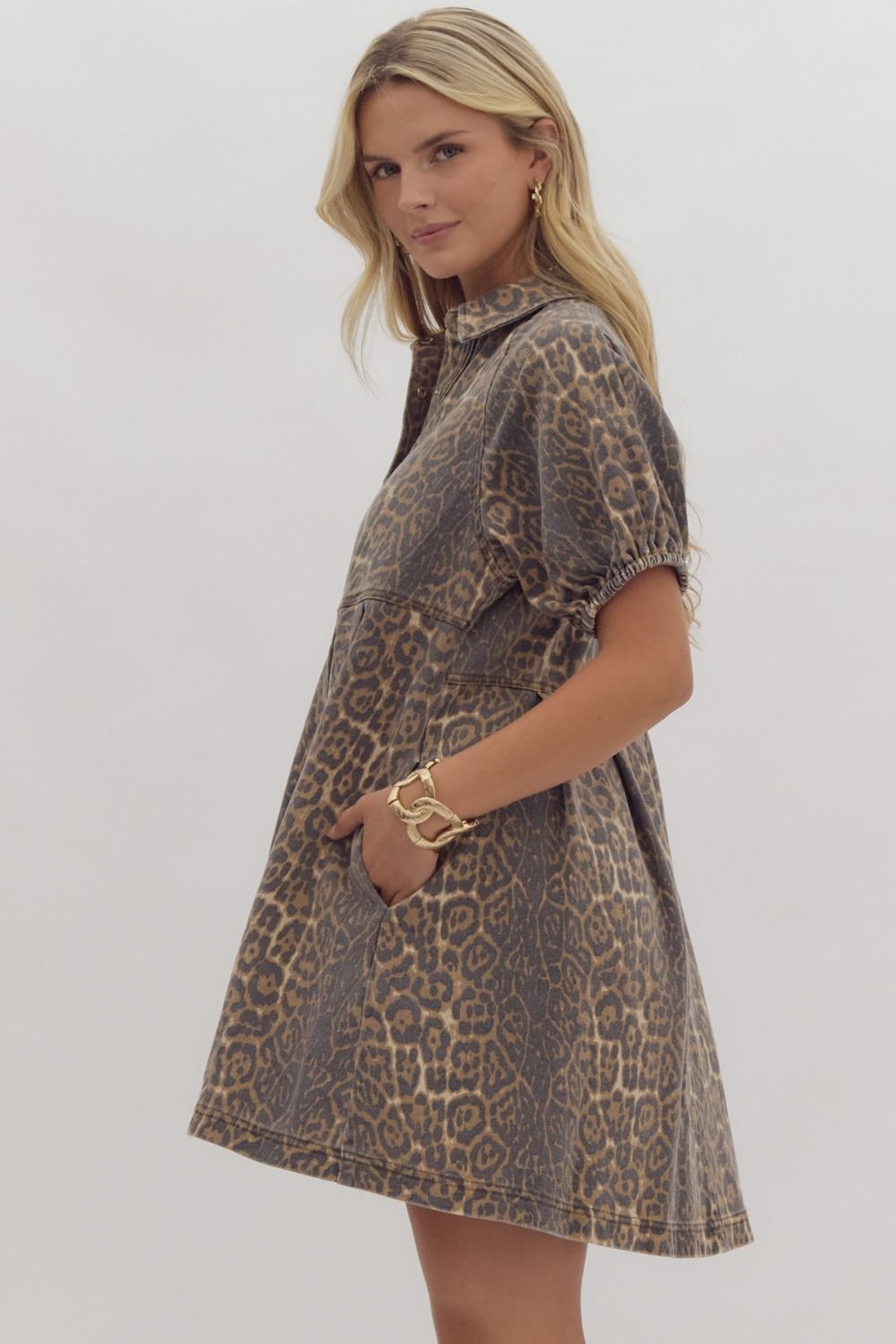 Chesney Cheetah Dress