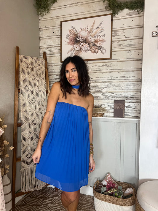 Pleated Sleeveless Mini Dress