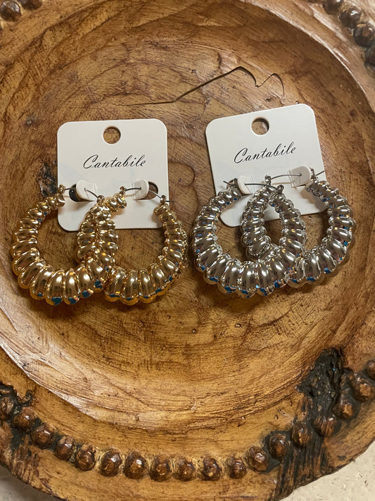 Hooped Earrings