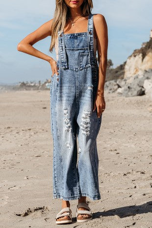 Willow Denim Overalls
