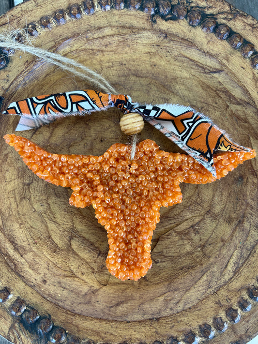 Texas Longhorn Freshie